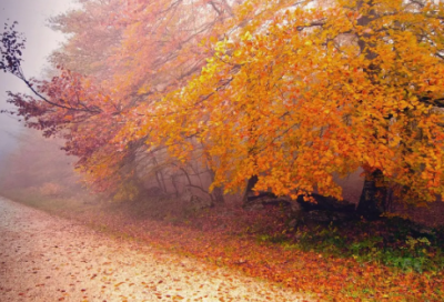 ​睡觉微信朋友圈的句子(精选67句)