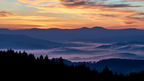 描写秋天景物文字200