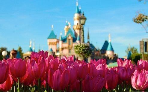 早安调皮句子 最温暖的早安心语