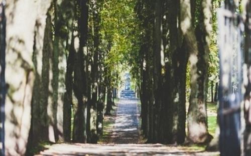 愚人节忽悠人的句子