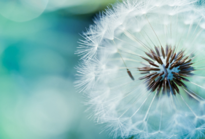 ​父亲对儿子成长励志话语的说说大全（精选80句）