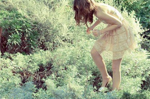 教师节赞扬老师经典句子