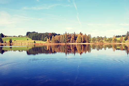 一年级下册的句子66句