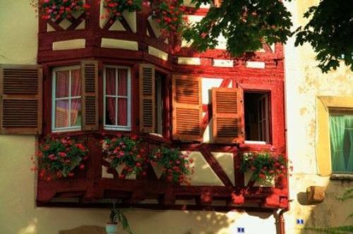 描写动物外形的句子120字