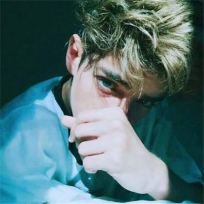 描写动物外形的句子120字