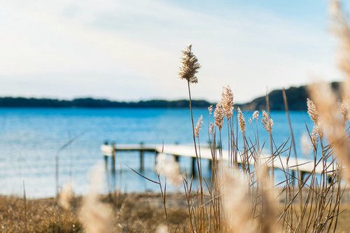 描写人的词语和句子73句