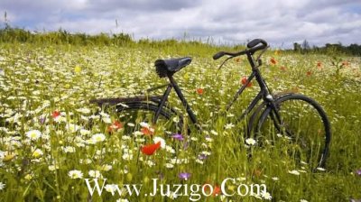 ​很皮又很逗比的句子搞笑的句子让人笑喷语句(精选80句)