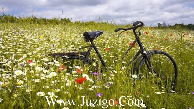 很皮又很逗比的句子搞笑的句子让人笑喷语句(精选80句)