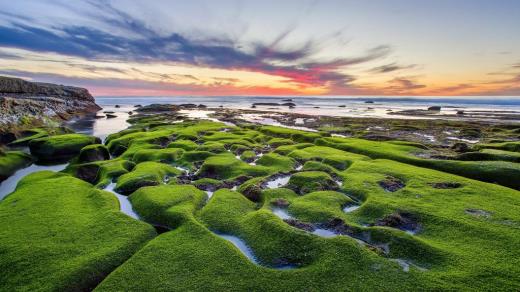 茶与生活感悟语句