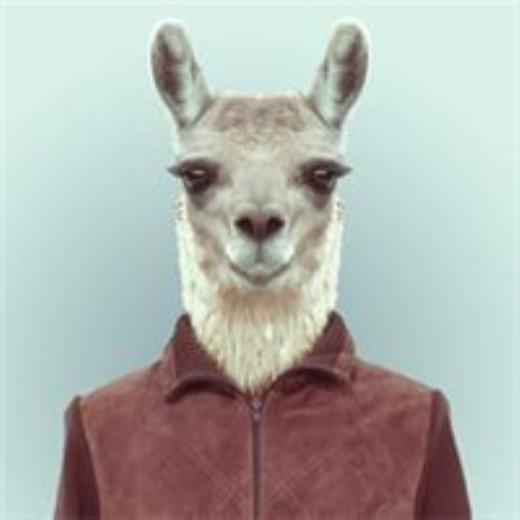 什么的星星填四字成语