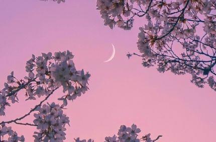 对女生的说早安的句子