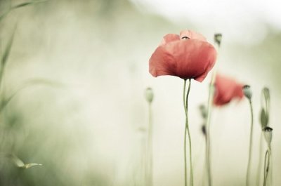 ​有哲理的古文句子50句