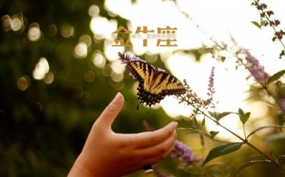 ​qq个性签名哲理短句（qq经典哲理签名）