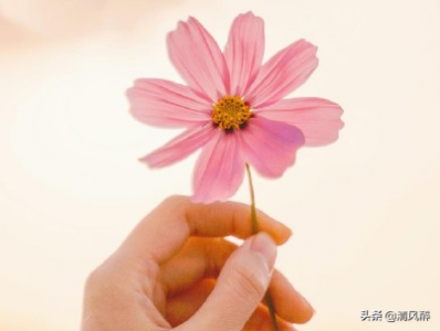 2020有关夏日的唯美句子文艺