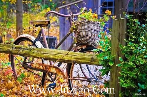 2026年心愿句子 新年愿望说说(42句)