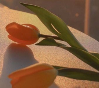 ​2026情人节优美伤感句子78句