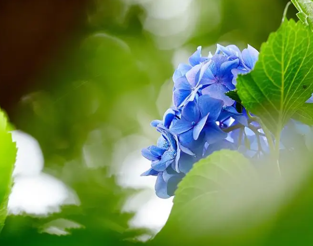 1695454344348135.png image.png
