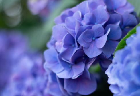1702725836491479.png image.png