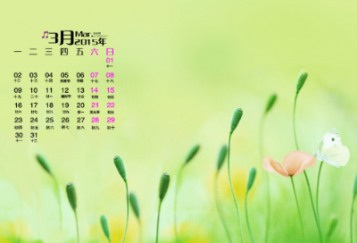 ​军训心得体会精选15篇
