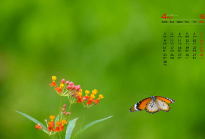 ​亲子活动心得体会(精选15篇)