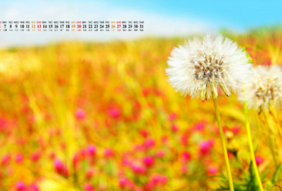 ​创业经历心得体会（精选14篇）