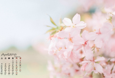 ​暑假教师师德培训心得体会