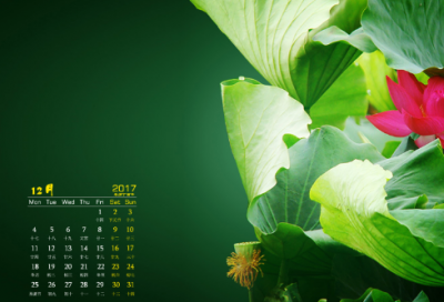 ​微信朋友圈生日祝福语-56句