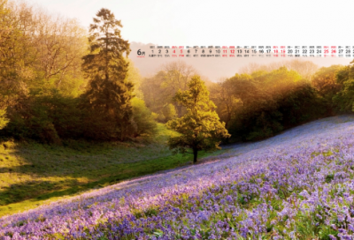 ​祝女儿13岁生日快乐祝福语发朋友圈-52句