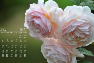 ​女儿的生日祝福语短语发朋友圈-48句