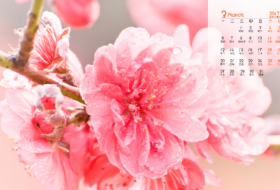​发朋友圈祝福结婚的句子-51句