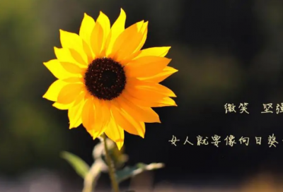 ​【满分作文】高考满分议论文精选4篇;天道酬诚信;探索与成功