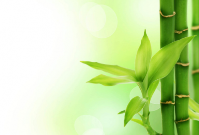 ​兔年春节祝福语 兔年春节祝福语大全(精选75句)