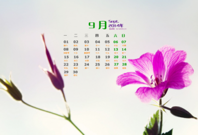 ​清晨祝福语大全简短(精选29句)