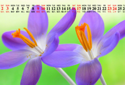 ​优选的创意生日蛋糕祝福语大全(精选21句)
