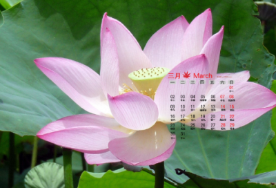 ​企业生日祝福语字霸气(精选16句)