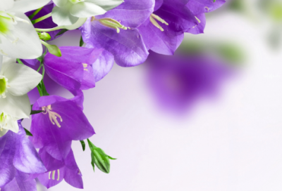 ​重阳节贺卡祝福语