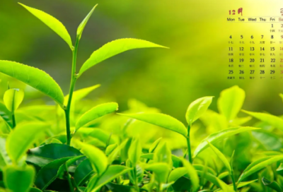 ​对长辈生日祝福语(精选21句)