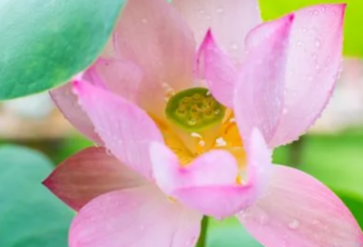 ​结婚纪念日祝福语