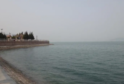 ​旅游活动总结
