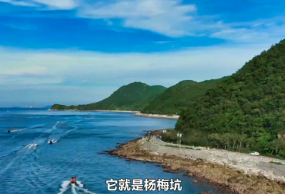 ​学生假期读书活动总结美篇