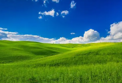 ​写动物的小学作文三篇