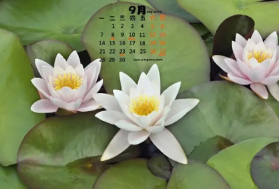 ​这个办法真好小学作文(精选2篇)