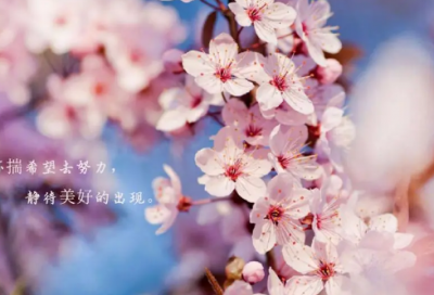 ​烦人星期天小学生作文