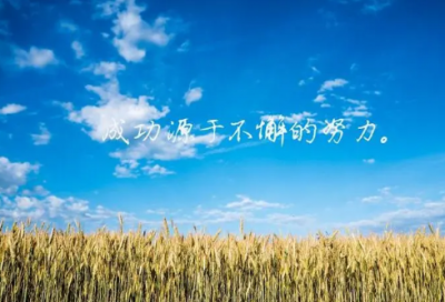 ​孝子情深小学优秀作文