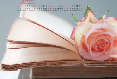 ​描写吊兰的小学生优秀作文