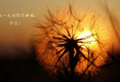 ​开幕式小学生作文