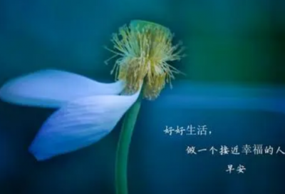 ​关于争吵的小学作文