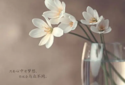 ​告别陋习小学作文
