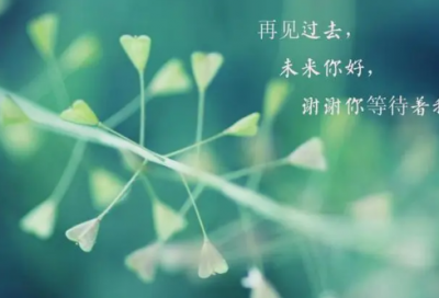 ​小学生作文让座