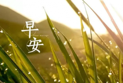​校园的操场小学生作文
